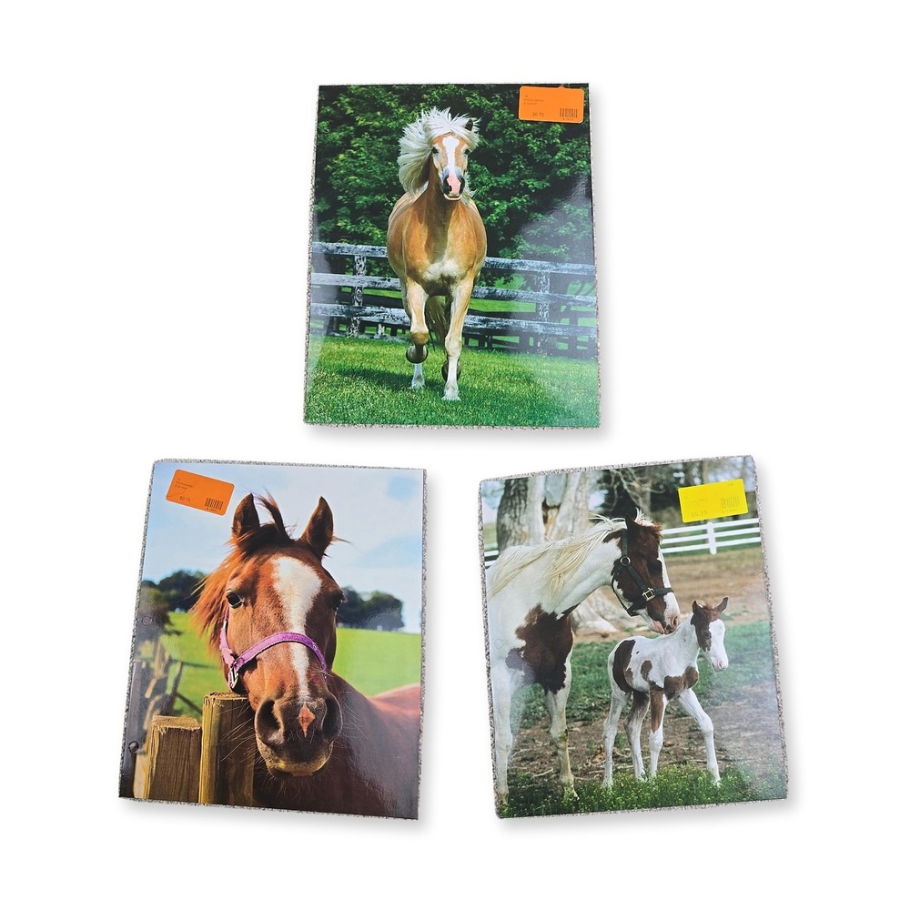 Horse Equestrian Pocket Folders Lot of 3 3 Ring Binder School New